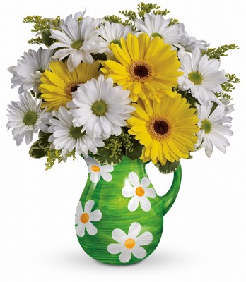 Teleflora's Darling Daisies Bouquet